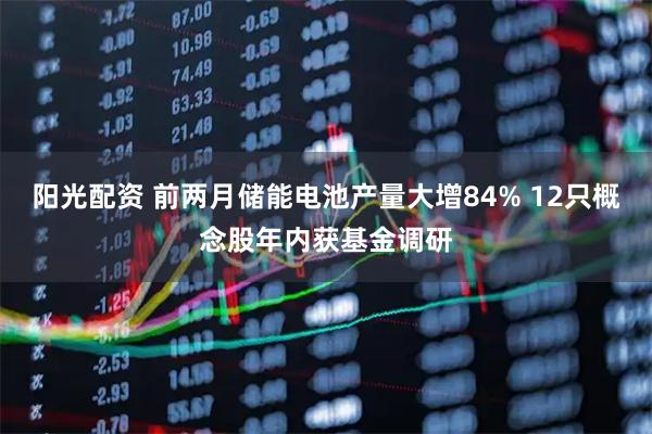 阳光配资 前两月储能电池产量大增84% 12只概念股年内获基金调研