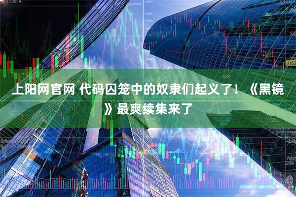 上阳网官网 代码囚笼中的奴隶们起义了！《黑镜》最爽续集来了