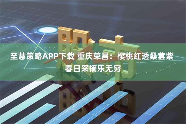 至慧策略APP下载 重庆荣昌：樱桃红透桑葚紫 春日采摘乐无穷