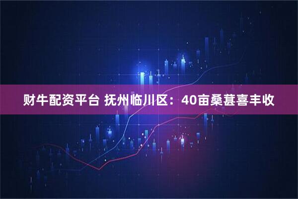 财牛配资平台 抚州临川区：40亩桑葚喜丰收